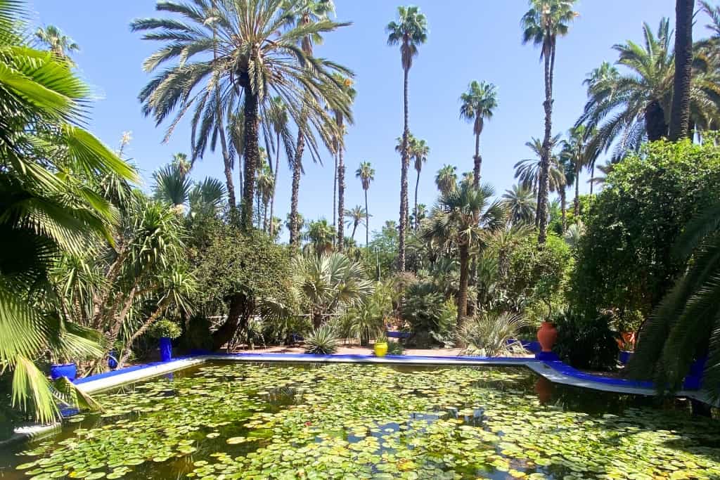 Is Marrakech Worth Visiting? This is a photo of the pond at Majorelle Gardens