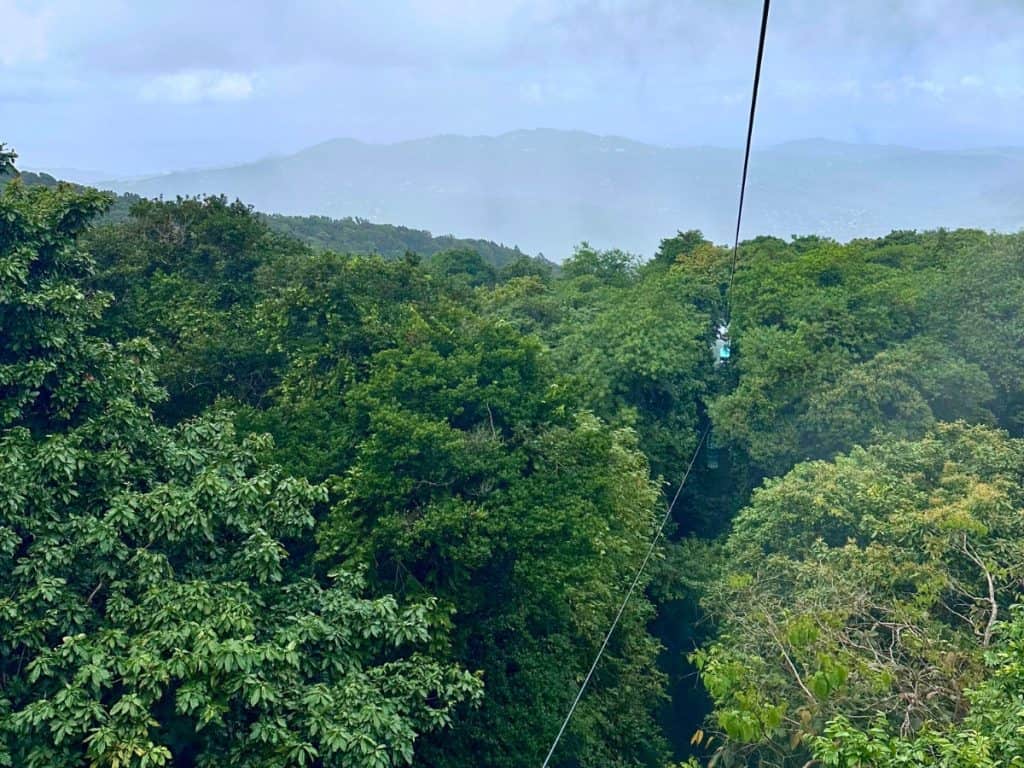 Rainforest Adventure in St. Lucia
