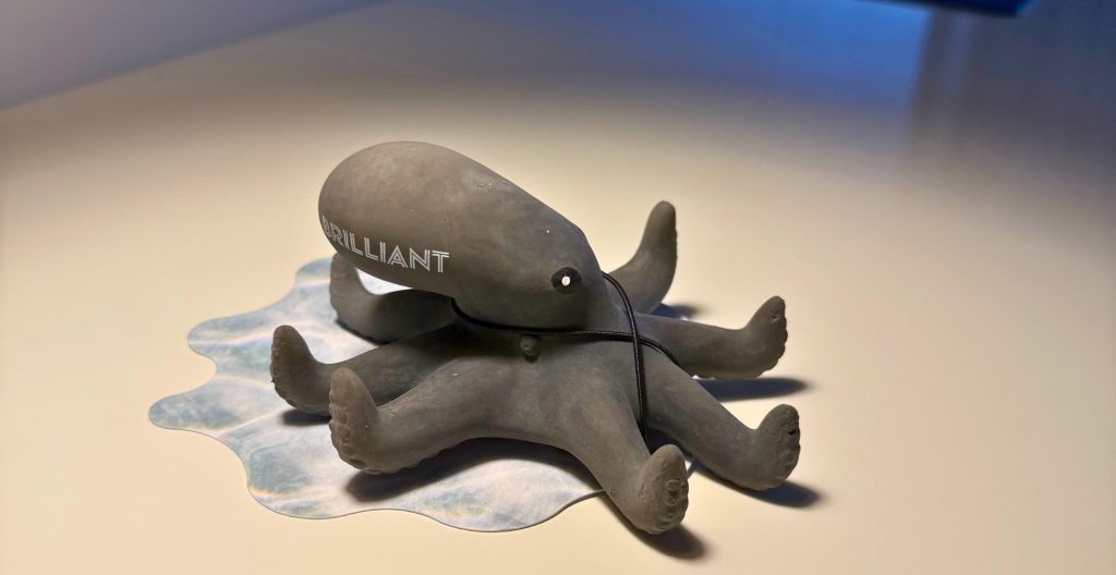 Photo of black cabin octopus